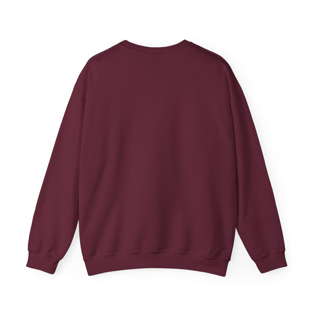 Believe in the Magic of Christmas Sweatshirt | Vintage Santa Christmas Crewneck for Women